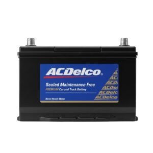 Batería AC Delco Gold Line 31T 1000 + Combo Gabriel