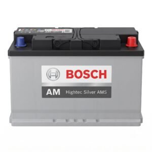 Batería Bosch AMS Hightec 49 1350 + Combo Gabriel