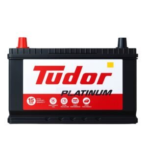 Batería Tudor 65 1100 | Izquierda (+) + Combo Gabriel