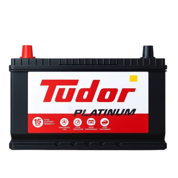 Batería Tudor 65 1100 | Izquierda (+) + Combo Gabriel
