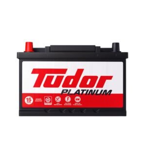 Batería Tudor 42IST850 | Izquierda (+) + Combo Gabriel