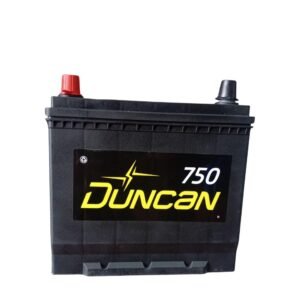 Batería Auto Duncan Liberty Plus 750  Ns60 | Izquierda (+) + Combo Gabriel